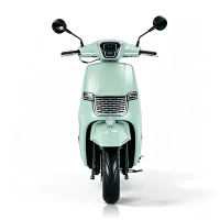 Cov Neeg Laus High-Speed Electric Motorcycle Dual Battery Electric Moped For City Commute
